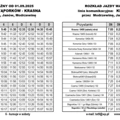 Rozkład jazdy busów do Pałacu Kultury – nie przegap ważnych kursów