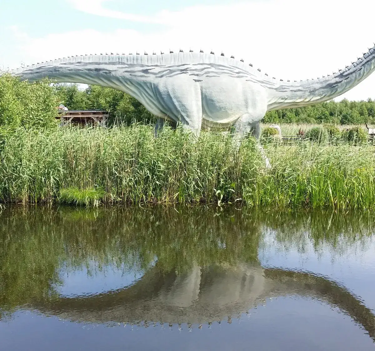 Zdjęcie Największy Park Dinozaurów w Polsce - Dino Park Łeba
